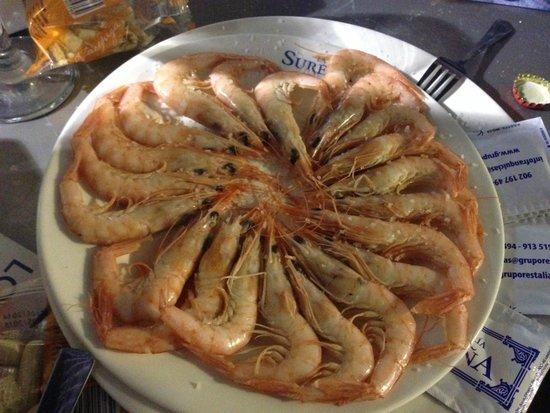 La Sureña de Las Setas